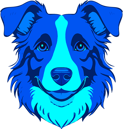 Blue Collie